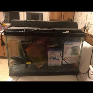 Fish tank with everything included